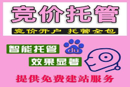 百度竞价代理的预算管理与效果评估案例
